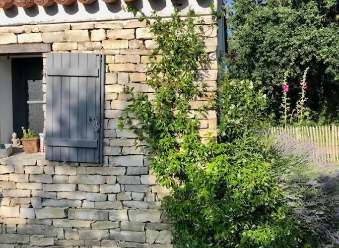 Maison Vendeenne A 5 Min Du Bord De Nyaraló Saint-Hilaire-la-Forêt